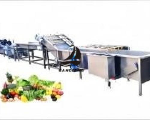 Frozen vegetables fruit line